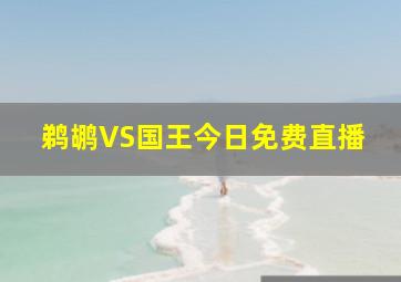 鹈鹕VS国王今日免费直播