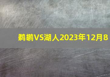 鹈鹕VS湖人2023年12月8