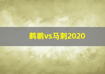 鹈鹕vs马刺2020