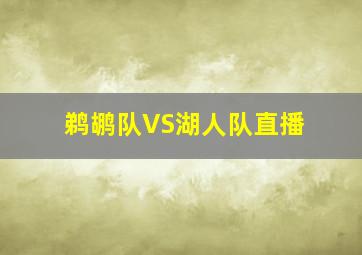 鹈鹕队VS湖人队直播