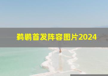 鹈鹕首发阵容图片2024