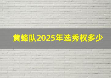 黄蜂队2025年选秀权多少